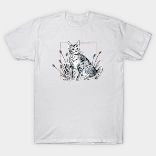 PIXIE-BOB T-Shirt